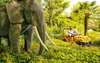 Ild Safari Tour