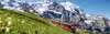 Jungfraubahn