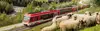 Matterhorn Gotthardbahn