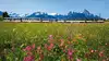 GoldenPass Line