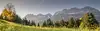 Alm Panorama