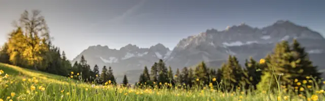 © eafoto.at / stock.adobe.com Alm Panorama