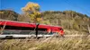 Railjet fährt mit hoher Geschwindigkeit durch hersbtliche Landschaft
