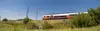 Desiro in sommerlicher Landschaft