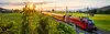 Railjet in Switzerland/Linth Plain