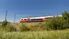 Desiro in sommerlicher Landschaft