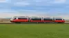 DESIRO von der Seite in schöner Wiesenlandschaft