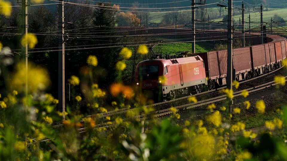 ÖBB freight train transporting goods through a green rural landscape with yellow flowers in the foreground