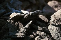 Stacked raw materials for rail transport.
