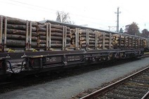 Timber transport on a low-floor freight wagon