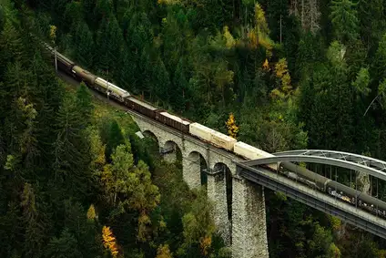 A freight train crosses a viaduct, surrounded by a green forest landscape.