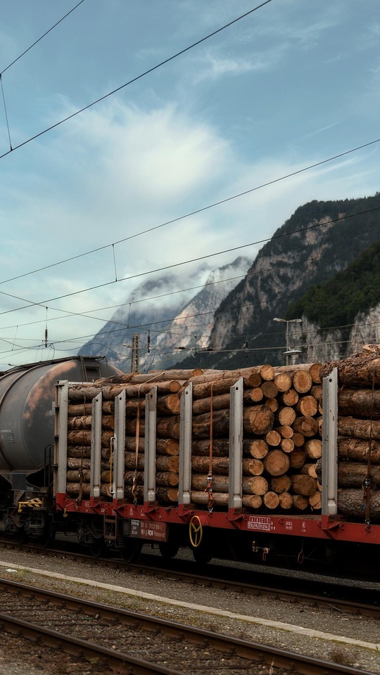 Freight train carrying stacked timber logs with mountains in the background