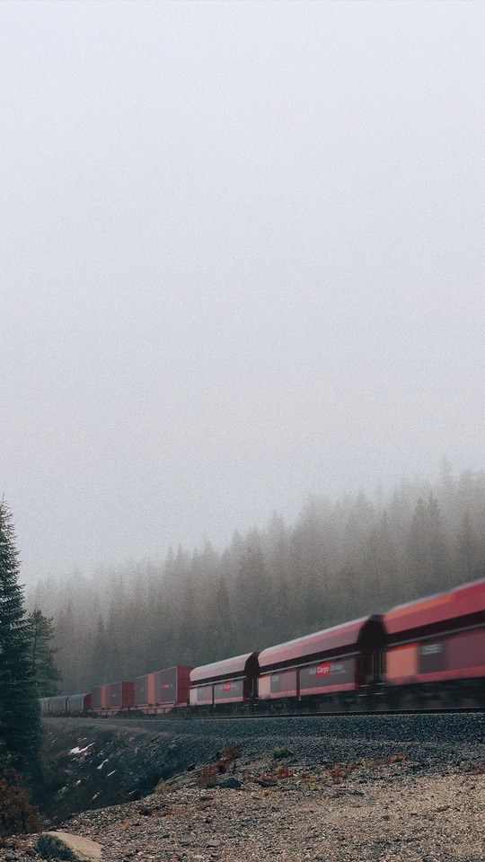 Rendering of a Rail Cargo Group freight train traveling through a misty forest landscape