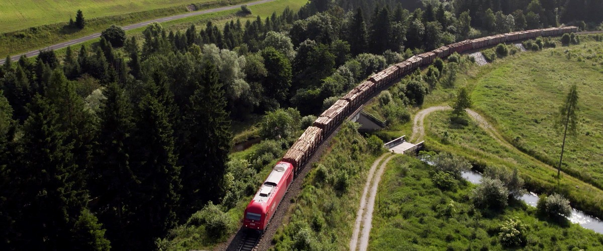 Güterzug mit Holzladung fährt durch grüne Landschaft entlang eines Waldrandes.