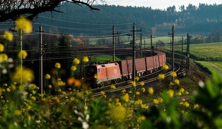 ÖBB Güterzug der Rail Cargo Group auf elektrifizierter Strecke durch eine Natur- und Wiesenlandschaft