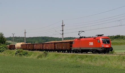 ÖBB-Lok zieht Güterwagen durch eine grüne Landschaft.