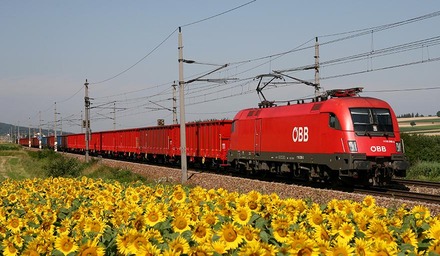 RCG Zug in der Landschaft