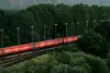 Red high-speed train passing through green forest landscape with overhead power lines.