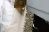 Unloading of building materials from a freight wagon.