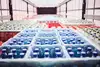 Transport of beverage crates in the consumer goods sector.