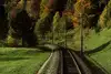 Railway track through an autumn landscape