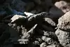 Stacked raw materials for rail transport.