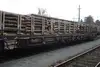 Holztransport auf einem Niederflurwagen im Güterverkehr