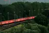 Passing container train with red containers blurred by speed, set against a green forest backdrop.