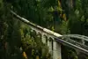 A freight train crosses a viaduct, surrounded by a green forest landscape.