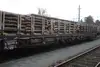 Niederflurwagen der Rail Cargo Group, beladen mit Rundholz für den effizienten Transport auf der Schiene.