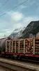 Güterzug mit gestapelten Holzstämmen vor einer Berglandschaft