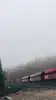 Rendering eines Rail Cargo Group Güterzugs in einer nebligen Waldlandschaft