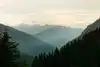 Panoramablick auf Alpen und dichten Wald