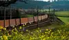 Güterzug auf kurviger Bahnstrecke durch grüne Landschaft mit Feldern