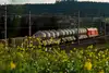 ÖBB Güterzug mit Silowagen in ländlicher Frühlingslandschaft