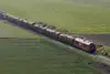 Langer Güterzug der Rail Cargo Group auf einer Bahnstrecke durch offene Felder