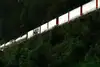 Intermodaler Güterzug mit Containern fährt auf einer Bahnstrecke durch eine bewaldete Hanglandschaft