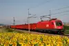 RCG Zug in der Landschaft