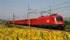 RCG Zug in der Landschaft