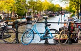 Vélos à Amsterdam