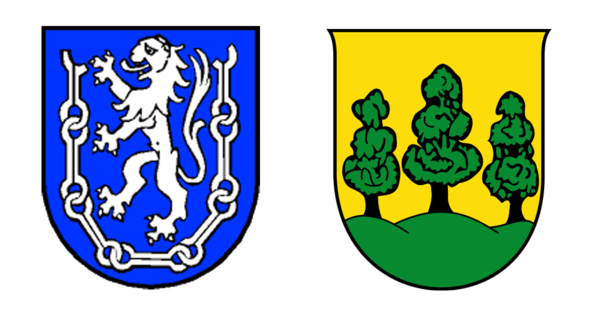 Wappen der Region Leogang und Saalfelden