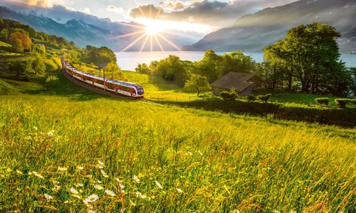 Luzern-Interlaken Express beim Brienzersee © Schweiz Tourismus/Tobias Ryser Luzern-Interlaken Express beim Brienzersee