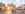 Berlin: Brandenburger Tor am Pariser Platz 