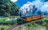 Dampfzug Oigawa Railway 