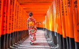 Die roten Tore des Fushimi Inari-Taisha