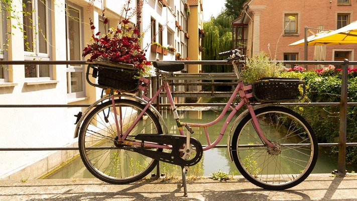 Fahrrad mit Blumen
