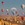Heißluftballone fliegen über eine Gebirgsregion