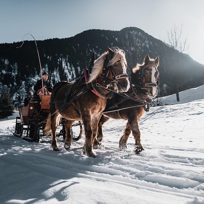Pferdekutsche im Schnee