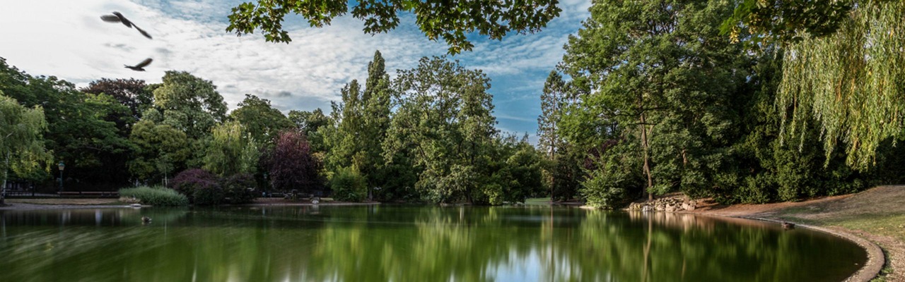 Der See inmitten des Wiener Stadtparks