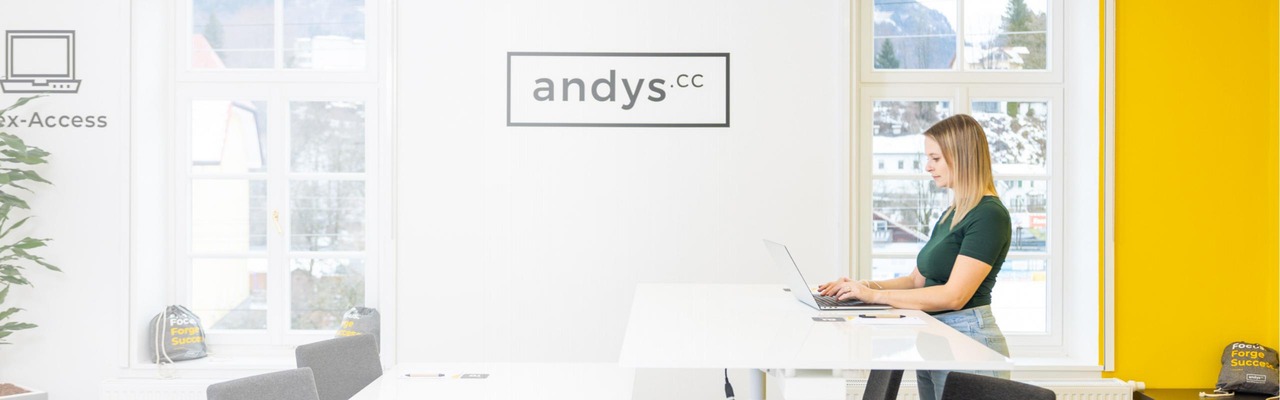 Shared Office "andys"